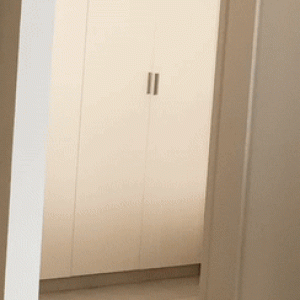 61948587.gif