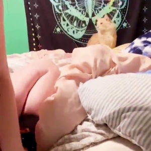 Assume the Position