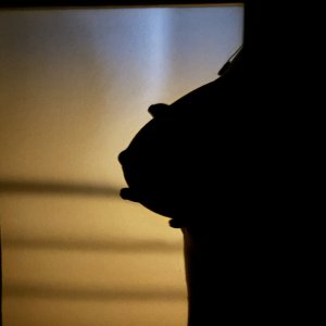 Being naughty in front of the window.