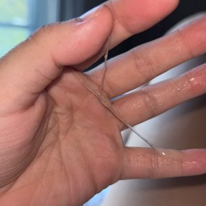 Ovulation time is no joke