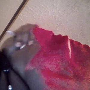 449C2ECE-C4E6-4E3B-8263-7C6BB1AFB021.mp4