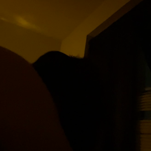 7CD44913-58D6-4A13-B587-3F7E53870E48.mp4