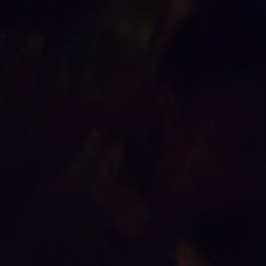 VID_20260130_234033_919.mp4