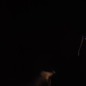 2274349-cf235b2f0f77a7fd30a2f8de903e0c7e.mp4