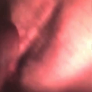 D305wV5jQtaKKiXroWiL4g_asset_PRESET_720_SDR.mp4