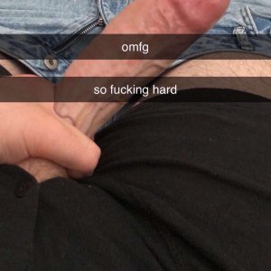 anyone in cornwall need a bull