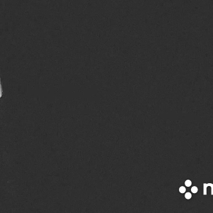 Movavi_Clips_Video_2.mov