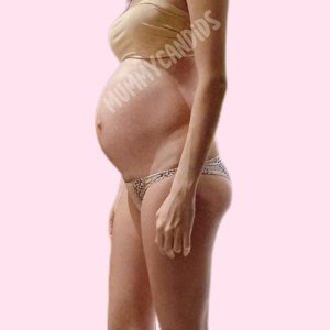 Preg.jpg
