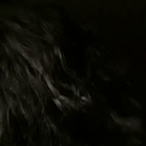 720P_1500K_196042321.mp4