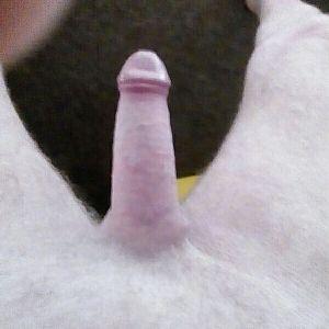 Cock 3
